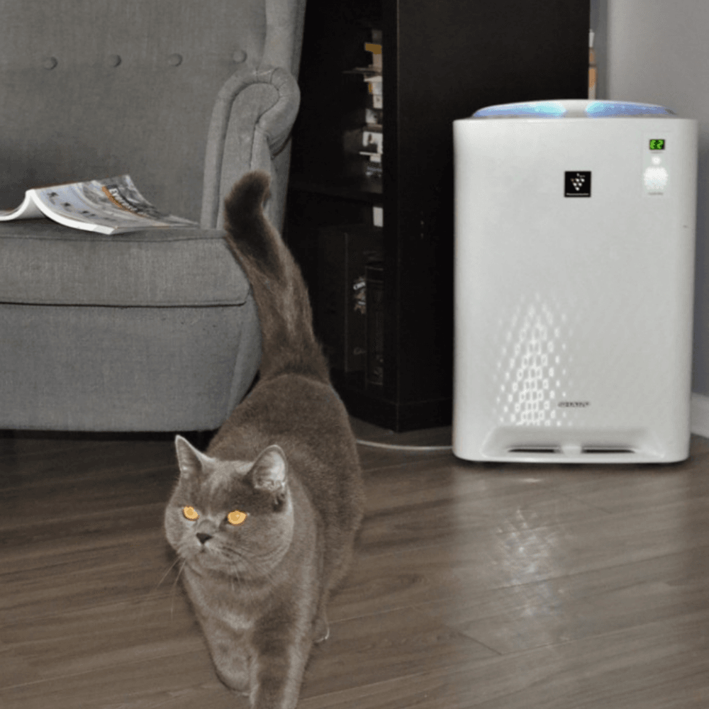 Oczyszczacz i nawilżacz powietrza z jonizacją - Sharp KC-A40EUW