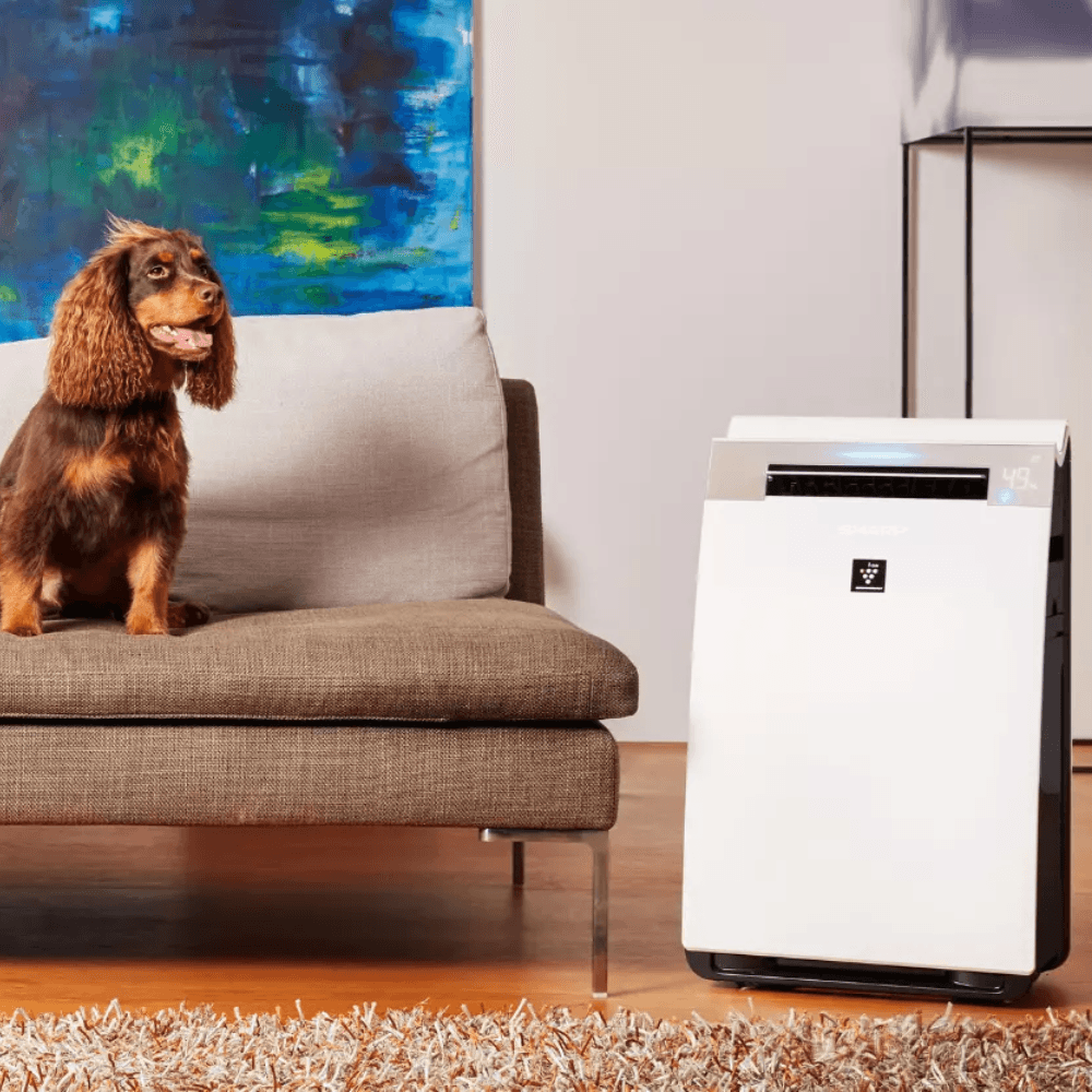 Oczyszczacz i nawilżacz powietrza z jonizacją - Sharp KI-G75EUW