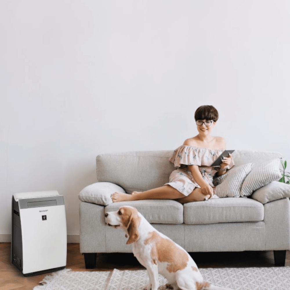 Oczyszczacz i nawilżacz powietrza z jonizacją - Sharp KI-G75EUW