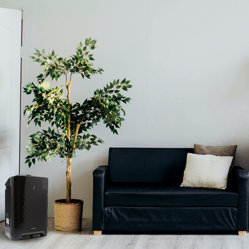 Oczyszczacz i nawilżacz powietrza z jonizacją - Sharp KC-A50EUB