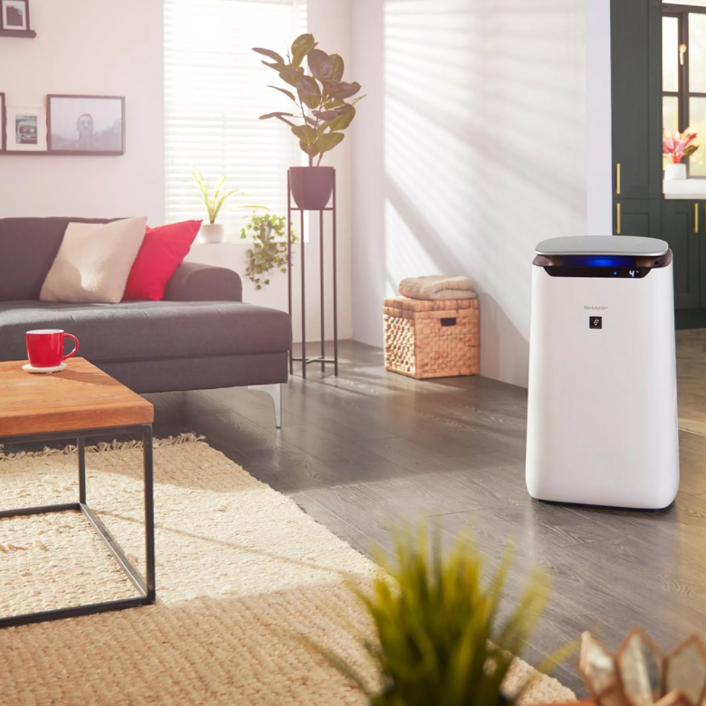 Oczyszczacz powietrza z jonizacją - Sharp FP-J60EUW