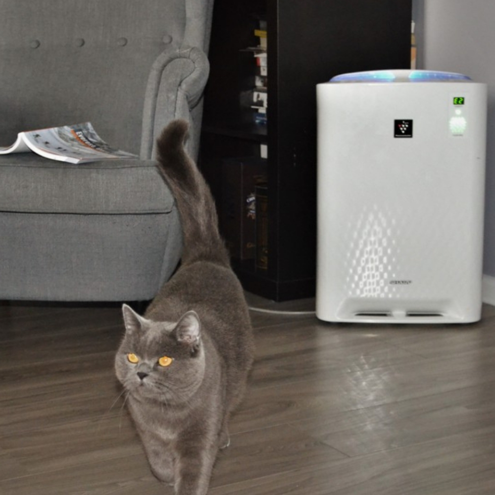 Oczyszczacz i nawilżacz powietrza z jonizacją - Sharp KC-A40EUW