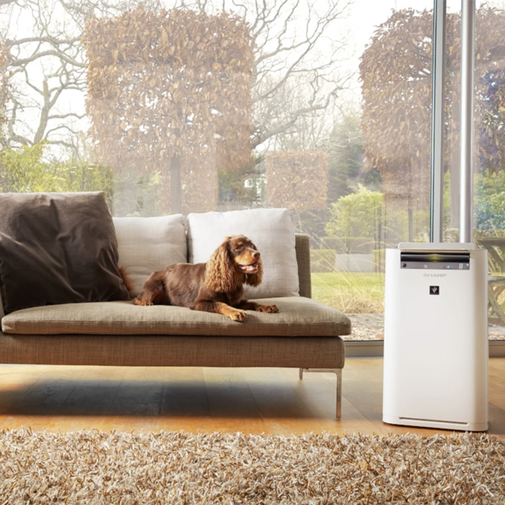 Oczyszczacz i nawilżacz powietrz z jonizacją - Sharp KC-G60EUW