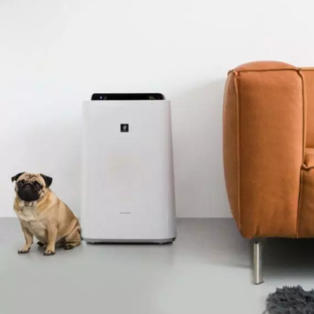 Oczyszczacz i nawilżacz powietrza z jonizacją - Sharp KC-D50EUW