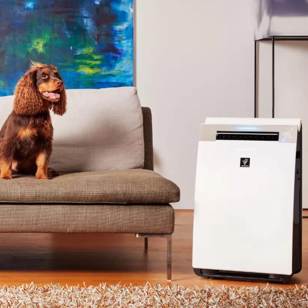 Oczyszczacz i nawilżacz powietrza z jonizacją - Sharp KI-G75EUW